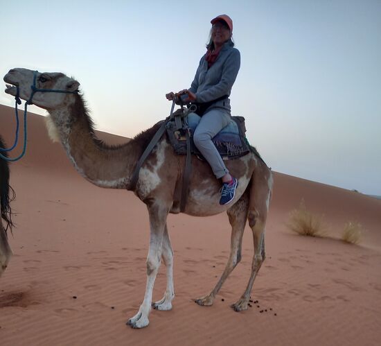 Wenn sich das Kamel erhebt, heißt es gut festhalten.