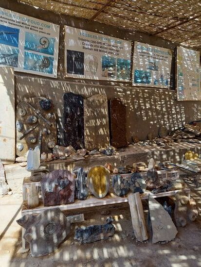 Man zeigt uns einige Funde