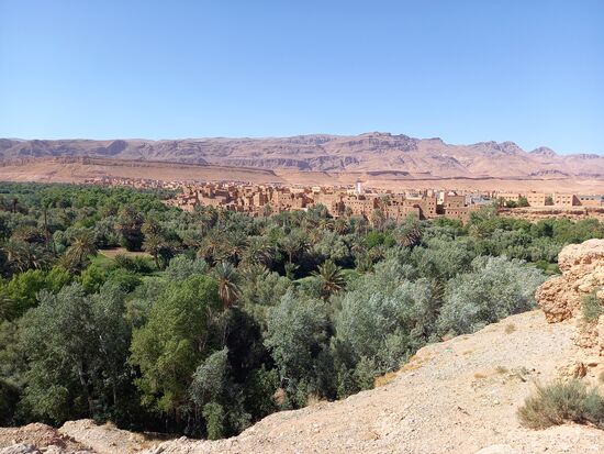 Von einer Anhöhe blicken wir in eine Osse, die wir gleich zu Fuß durchqueren.