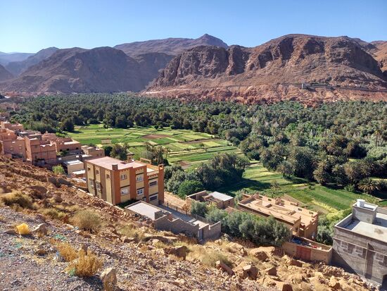 Entlang des Flusses Oued Todgha erstrecken sich mehrere  Oasen.