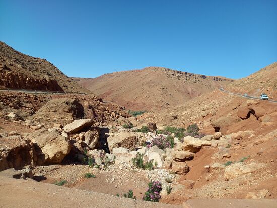 Abseits des Flusses ist alles steinig und trocken.