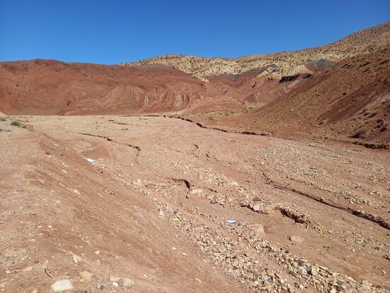 Die Farbgebung ist wunderschön anzusehen.