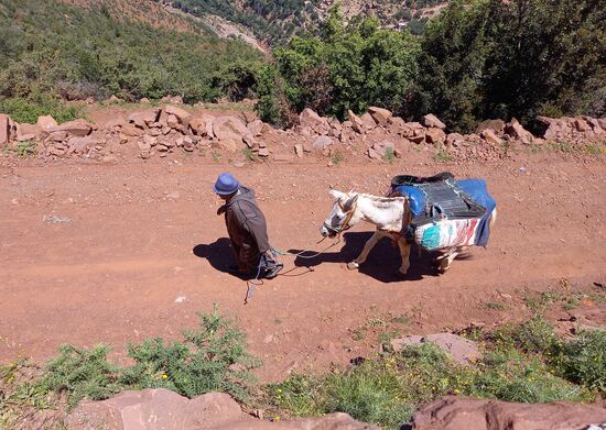 Auch dieser Bauer hat seinen Esel geholt,  um die Ware ins Dorf zu bringen.