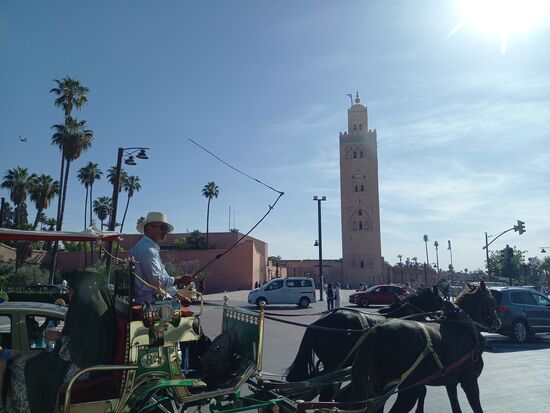Auch Pferdekutschen für Touristen gehören zum Stadtbild.