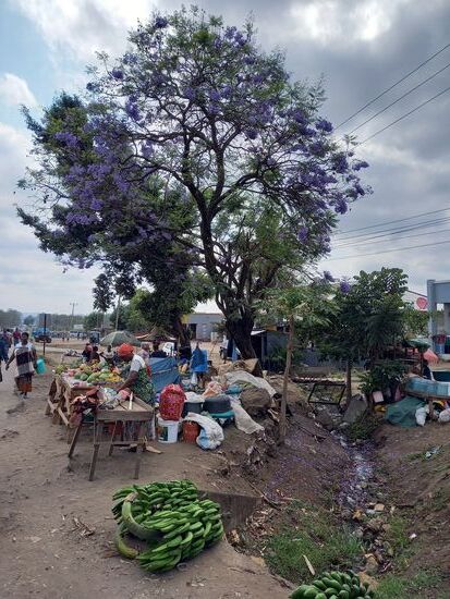 Der Markt von Leganga.  Ab hier geht es entlang der Verbindungsstraße zwischen Arusha und Moshi. Diese ist gut ausgebaut und stark befahren.