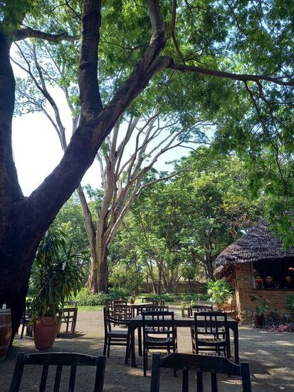 Ein Ort an dem ich einfach nur genieße.