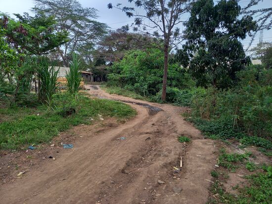 Immer durch den Staub und bei Regen durch den Matsch. Aber der ganz große Vorteil ist, die Flächen sind nicht versiegelt und somit besser für die Umwelt.
