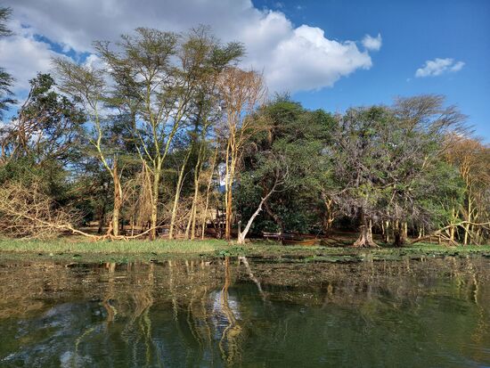 Jason berichtet, das es große Umweltprobleme am See gibt. Auch wir sehen den großen Algenbewuchs. Das hat viele Gründe: Einleitung von Abwässern, Überdüngung angrenzender Felder, Plastikmüll und einiges mehr. Jason will sich dafür einsetzen, das der See gesundet.