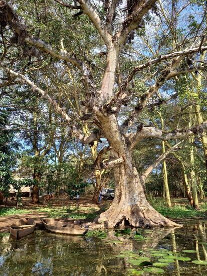 Irgendwie idylisch, trotz der Probleme.