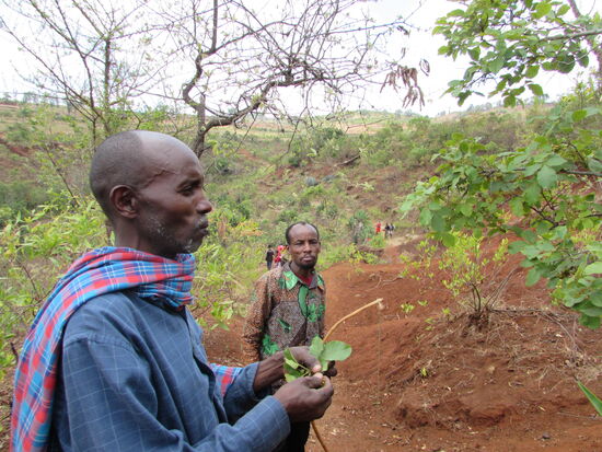 Unterwegs werden Blätter gepflückt. Die werden benötigt, um die Wasserbehälter später zu verschließen.