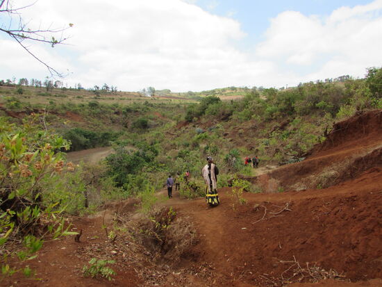 Es geht stetig bergab
