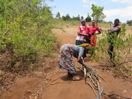 Dann zeigt man uns, wie das Feuerholz gebündelt, verschnürt nach oben getragen wird.