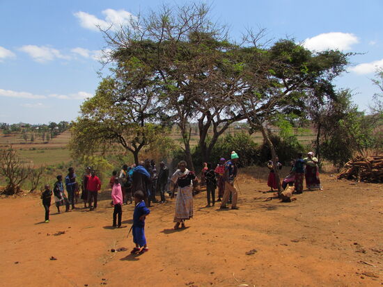 Danke für diese Eindrücke!