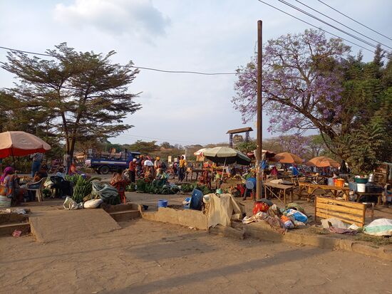 In Usa River herrscht eine buntes Markttreiben. Ich liebe dieses beschäftigte Treiben.