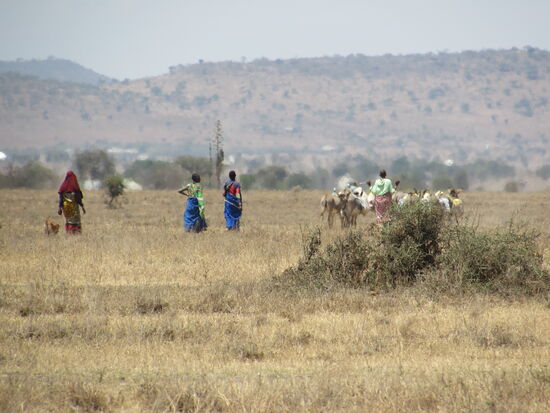 In der Ferne ziehen Massai mit ihren Viehherden vorbei.
