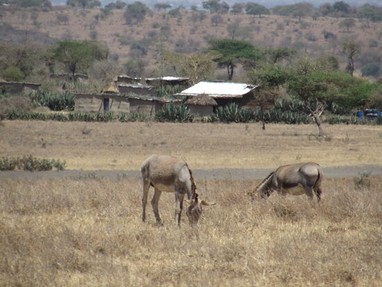 Blick auf eines der Dörfer aus denen unsere Kinder kommen.