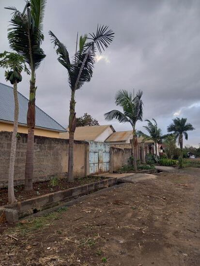 Die Umgebung vom Hostel. Jetzt Anfang Oktober setzt allmählich die kleine Regenzeit ein. Tagsüber ist es sonnig, aber abends ziehen Regenwolken auf. Nachts hat es auch schon kräftig geschüttet.