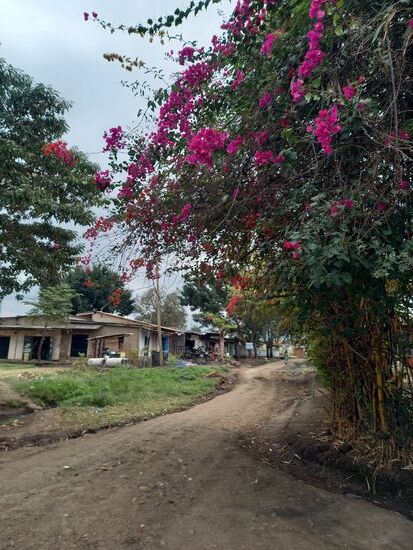 Ich bin unterwegs auf staubigen Wegen.