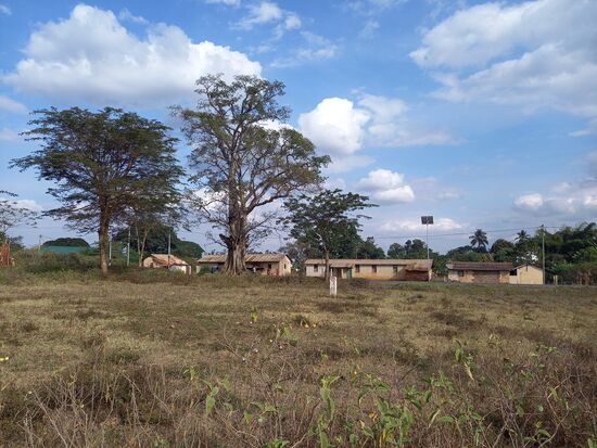Ich nehme eine Abkürzung quer Feld ein von Usa River in Richtung der alten Moshi Road um zurück zum Hostel zu gehen.