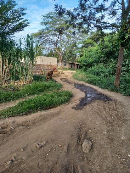 Die Wege sind meist Schlaglochpisten. Entweder versinkt man nach dem Regen im Matsch oder man wird bei Trockenheit von vorbeifahrenden Fahrzeugen von oben bis unten eingestaubt.