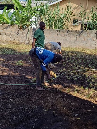 Die Grasfläche wird heute fertig    Das war wirklich harte Arbeit!