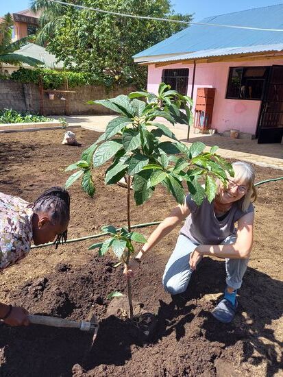 Insgesamt pflanzen wir fünf Bäume.