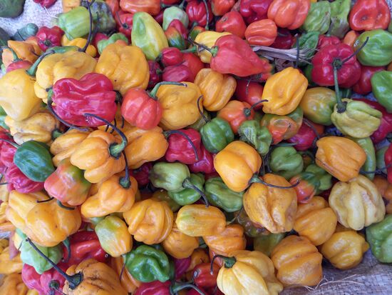 Das Marktgeschehen ist bunt