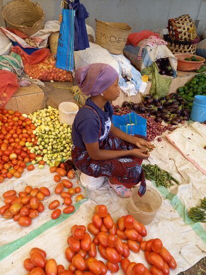Für die nächste Wochen werden auch Tomaten und Bohnen benötigt.