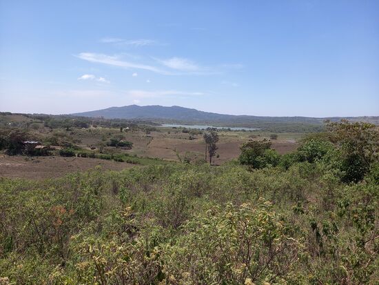 Blick auf den Momella See im Arusha Nationalpark.