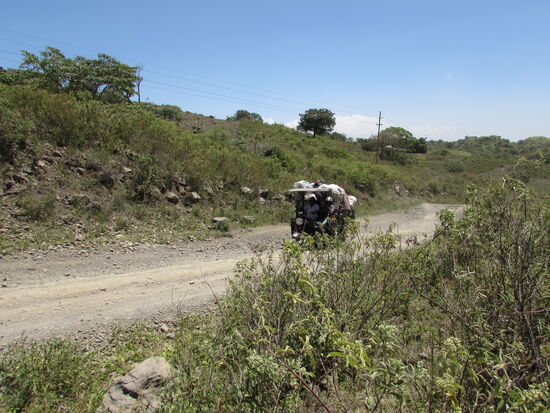 Dann machen wir uns weiter auf den Weg ...