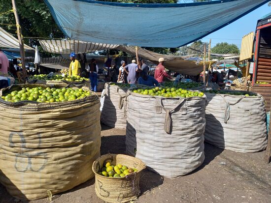 Am Stand gegenüber werden Orangen angeboten.