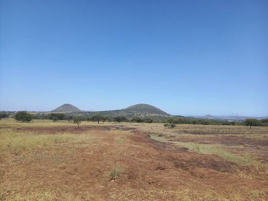 Unsere Fahrt führt quer durch die Savanne.
