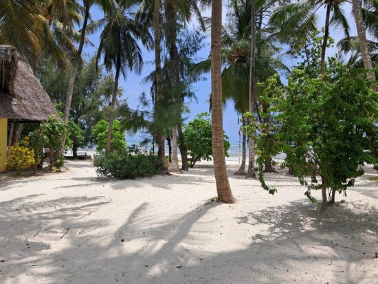 Wir verbringen vier Tage in den Evergreen Bungalows und fühlen uns rundum wohl.