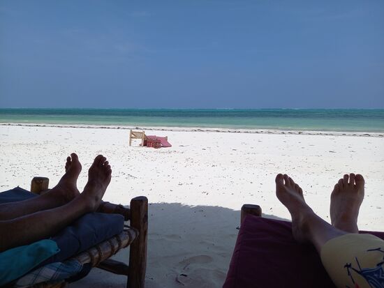 Füße hoch und einfach nur beobachten und nix tun  