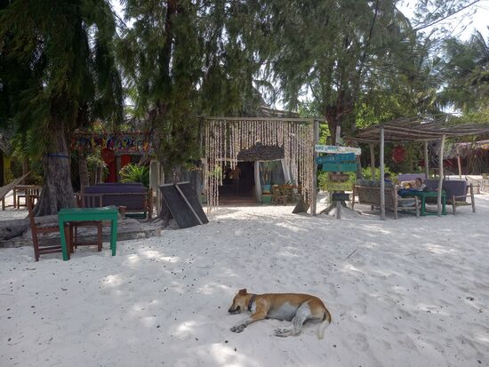 Eingang zum Evergreen