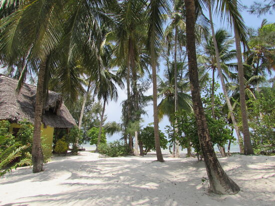 Der letzte Tag auf Sansibar und wir werden es in vollen Zügen, mit Entspannung  genießen.