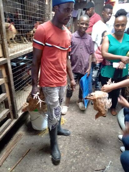 Welches nehmen wir? Es wird dann direkt frisch geschlachtet.