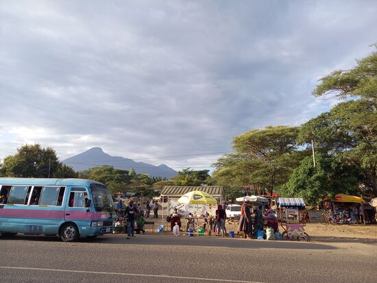 Das Leben am Straßenrand