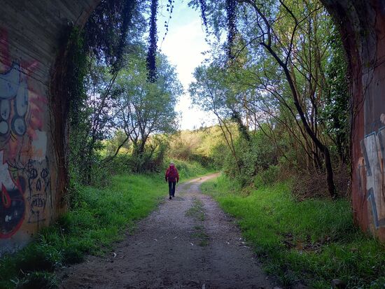 Waldwege lassen sich viel entspannter gehen als Asphalt.
