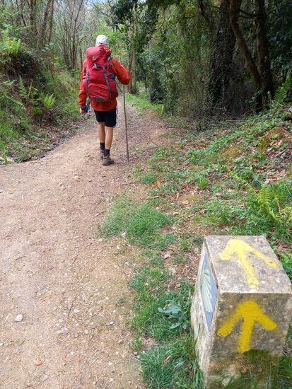 Wir folgen weiter der Muschel und den gelben Pfeilen.