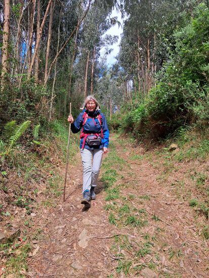 Kurzerhand einen Wanderstock am Wegesrand genommen.
