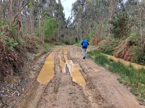Ganz schön matschig