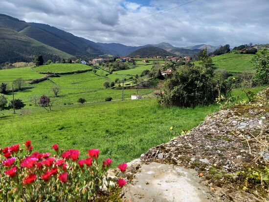 Von hier haben wir eine fantastische Sicht.