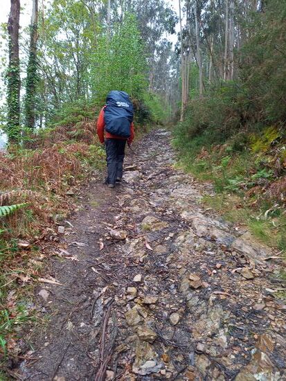 Die nächsten Kilometer gehen steil bergauf und dann auch wieder bergab.