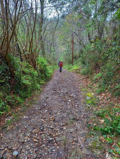 Noch einmal bergauf über steinige Wege.