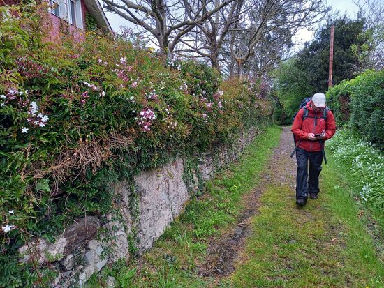 Die letzten Meter bis zum Hotel werden uns mit dem Duft von Jasmin versüßt. Heute sind wir wieder 22km gegangen und das ist ein gutes Gefühl!