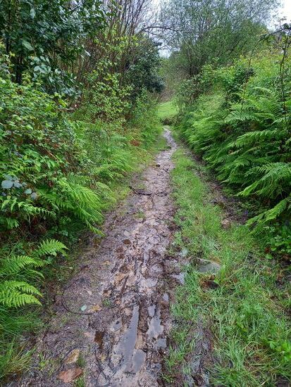 Ab Santa Marina sind wir dann doch durch den Wald gegangen. Der Weg war mega matschig und man musste bei jedem Schritt achtsam sein.