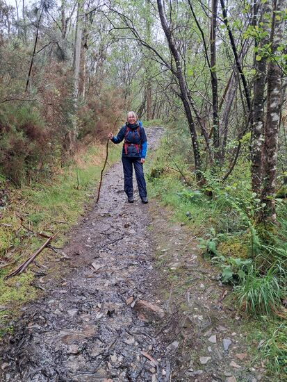 Ich bin froh einen Stock zu haben.