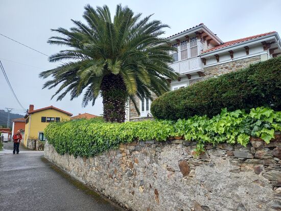 Nach 7,5km kommen wir in Ballota an.