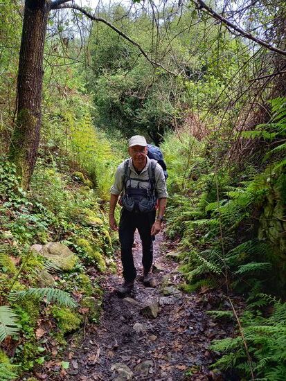 Nach einigen Kilometern entlang der Straße wechseln wir wieder auf den Waldweg. Natur pur - herrlich.